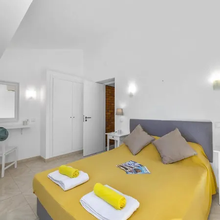 Buganvillea By البوفيرا